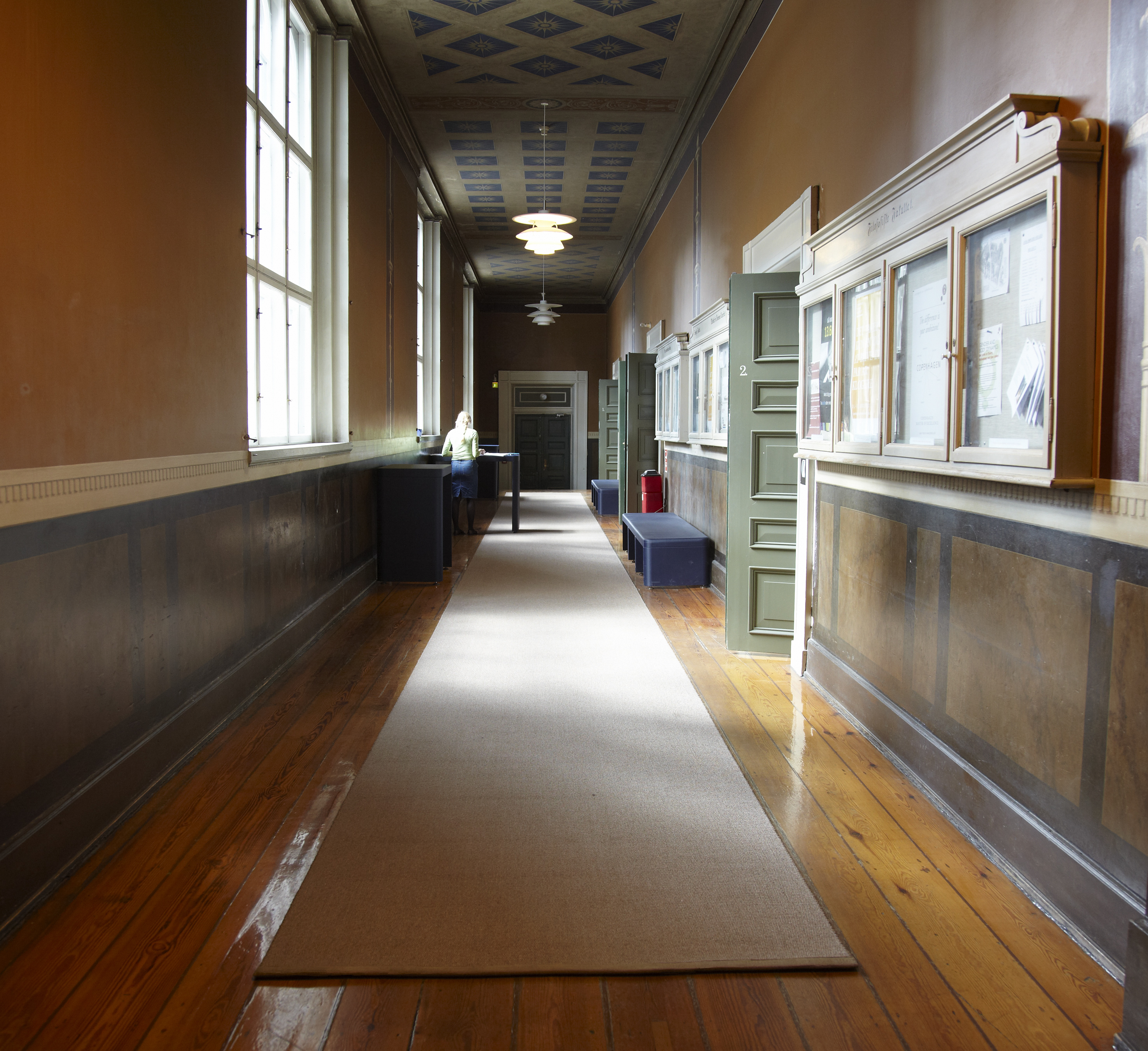 Sisal tæppe løber på Kbh universitet (1)